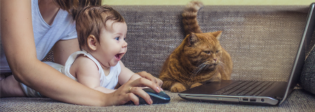 Changes Coming to Ohio’s 529 Plan Website